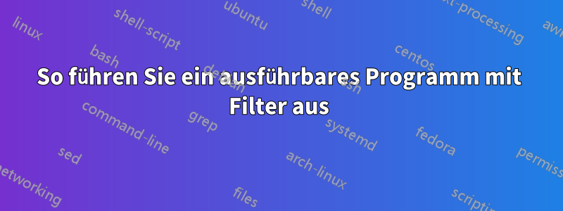 So führen Sie ein ausführbares Programm mit Filter aus