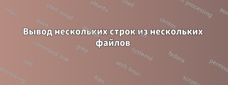 Вывод нескольких строк из нескольких файлов