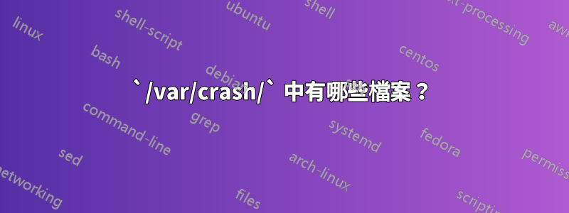 `/var/crash/` 中有哪些檔案？