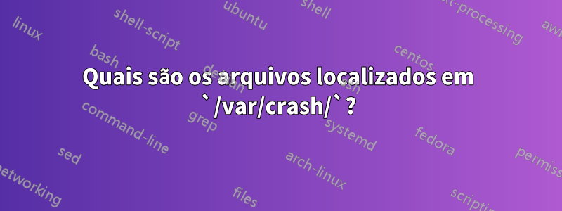 Quais são os arquivos localizados em `/var/crash/`?