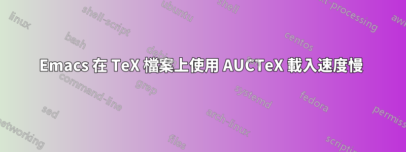 Emacs 在 TeX 檔案上使用 AUCTeX 載入速度慢