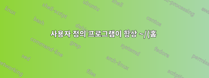 사용자 정의 프로그램이 항상 ~/(홈) 폴더가 아닌 /opt, /srv, /usr/local 등에 설치되는 이유는 무엇입니까?