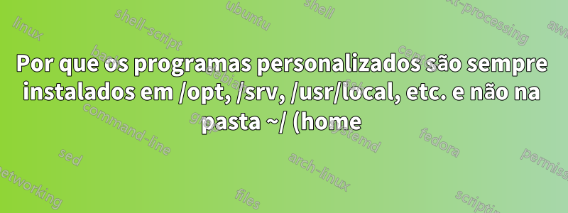 Por que os programas personalizados são sempre instalados em /opt, /srv, /usr/local, etc. e não na pasta ~/ (home)?