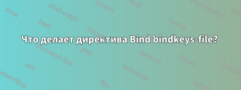 Что делает директива Bind bindkeys-file?