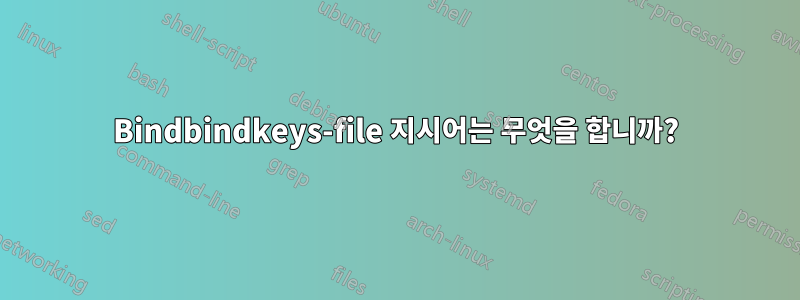 Bindbindkeys-file 지시어는 무엇을 합니까?