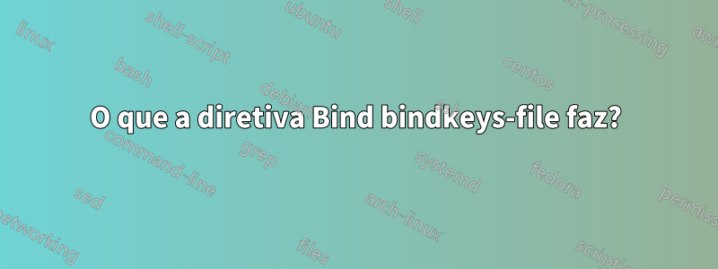 O que a diretiva Bind bindkeys-file faz?