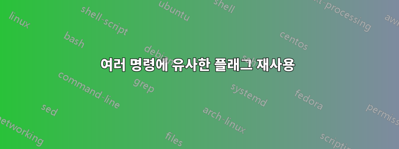 여러 명령에 유사한 플래그 재사용