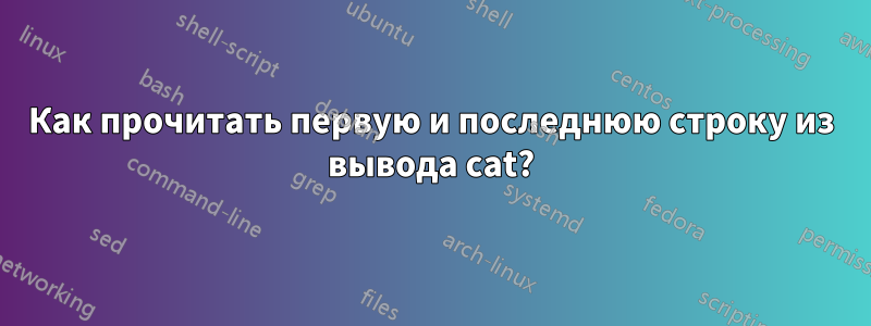 Как прочитать первую и последнюю строку из вывода cat?