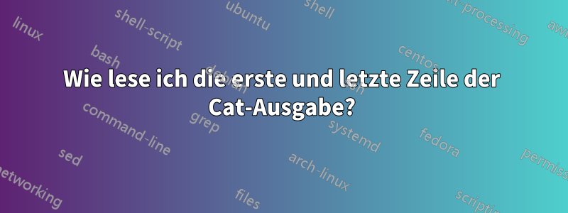 Wie lese ich die erste und letzte Zeile der Cat-Ausgabe?