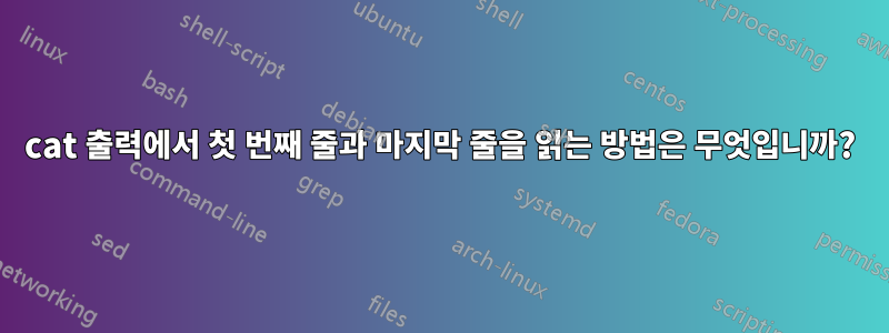 cat 출력에서 첫 번째 줄과 마지막 줄을 읽는 방법은 무엇입니까?