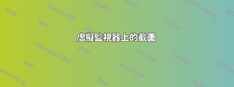 虛擬監視器上的截圖