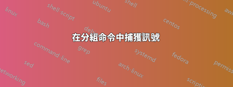 在分組命令中捕獲訊號