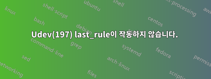 Udev(197) last_rule이 작동하지 않습니다.