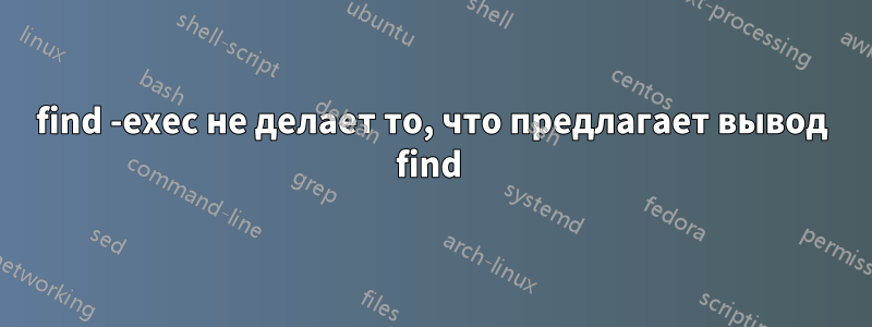 find -exec не делает то, что предлагает вывод find 