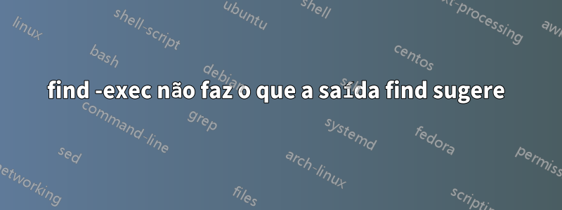 find -exec não faz o que a saída find sugere 