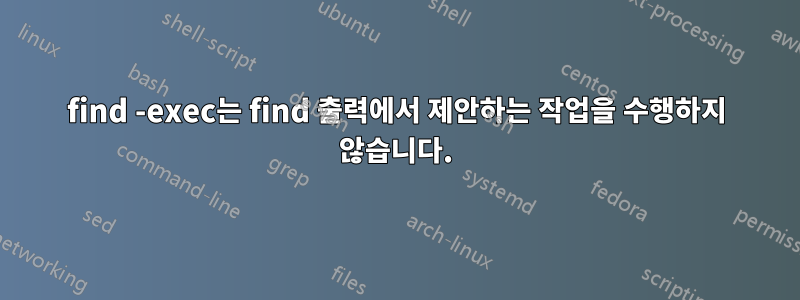 find -exec는 find 출력에서 제안하는 작업을 수행하지 않습니다.