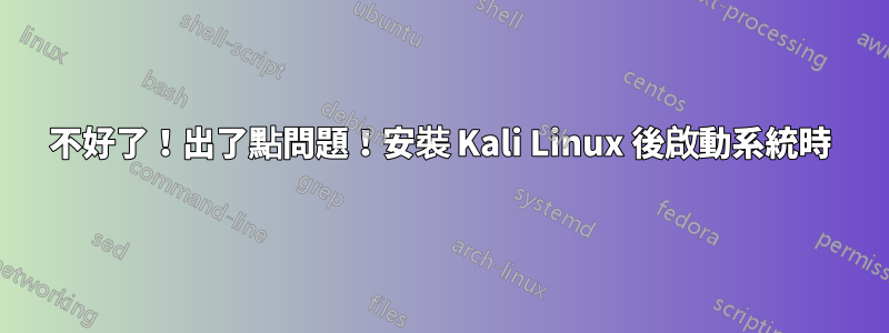 不好了！出了點問題！安裝 Kali Linux 後啟動系統時