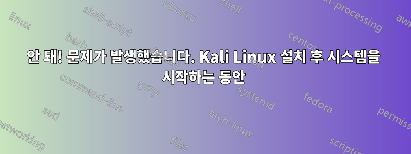 안 돼! 문제가 발생했습니다. Kali Linux 설치 후 시스템을 시작하는 동안