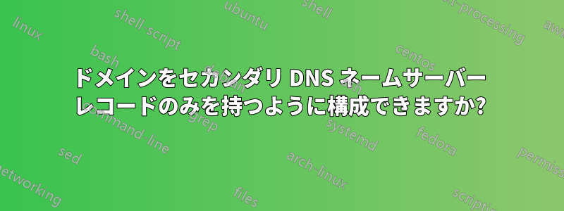 ドメインをセカンダリ DNS ネームサーバー レコードのみを持つように構成できますか?