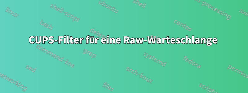 CUPS-Filter für eine Raw-Warteschlange