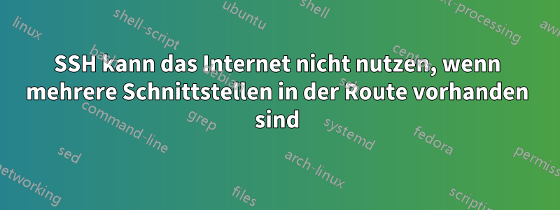 SSH kann das Internet nicht nutzen, wenn mehrere Schnittstellen in der Route vorhanden sind