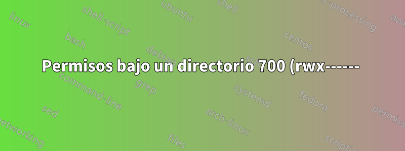 Permisos bajo un directorio 700 (rwx------)