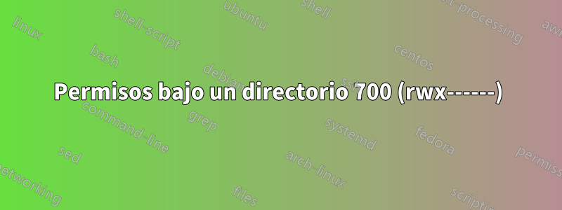 Permisos bajo un directorio 700 (rwx------)