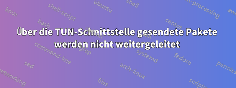 Über die TUN-Schnittstelle gesendete Pakete werden nicht weitergeleitet
