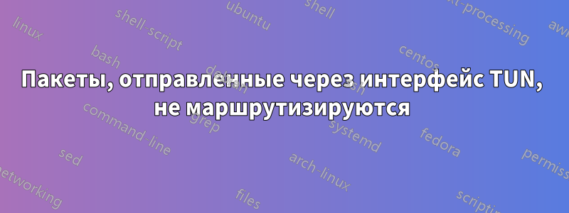 Пакеты, отправленные через интерфейс TUN, не маршрутизируются