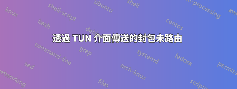 透過 TUN 介面傳送的封包未路由