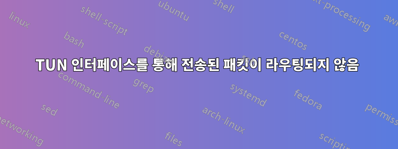 TUN 인터페이스를 통해 전송된 패킷이 라우팅되지 않음