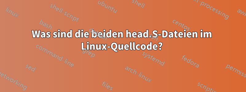 Was sind die beiden head.S-Dateien im Linux-Quellcode?