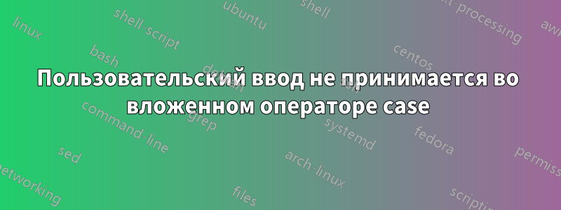 Пользовательский ввод не принимается во вложенном операторе case