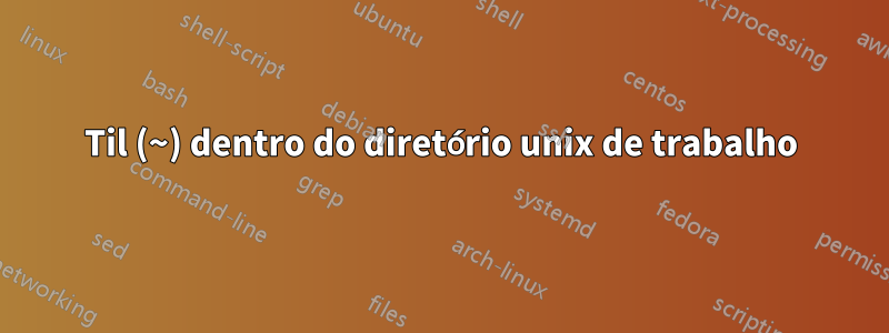 Til (~) dentro do diretório unix de trabalho