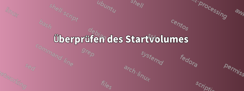 Überprüfen des Startvolumes