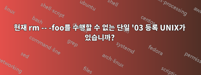 현재 rm -- -foo를 수행할 수 없는 단일 '03 등록 UNIX가 있습니까?