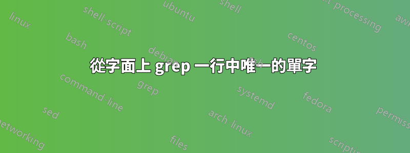 從字面上 grep 一行中唯一的單字