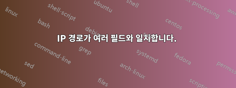 IP 경로가 여러 필드와 일치합니다.