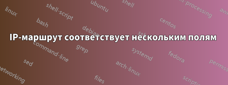 IP-маршрут соответствует нескольким полям