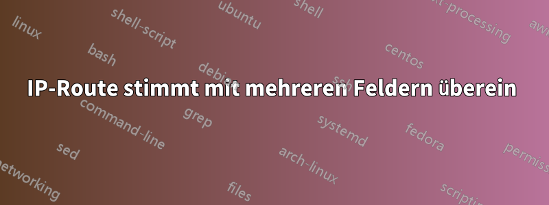 IP-Route stimmt mit mehreren Feldern überein