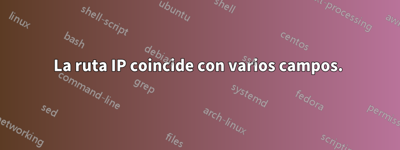 La ruta IP coincide con varios campos.