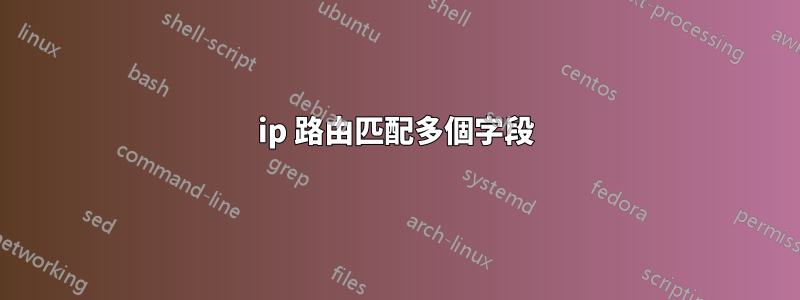 ip 路由匹配多個字段