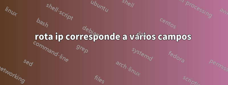 rota ip corresponde a vários campos
