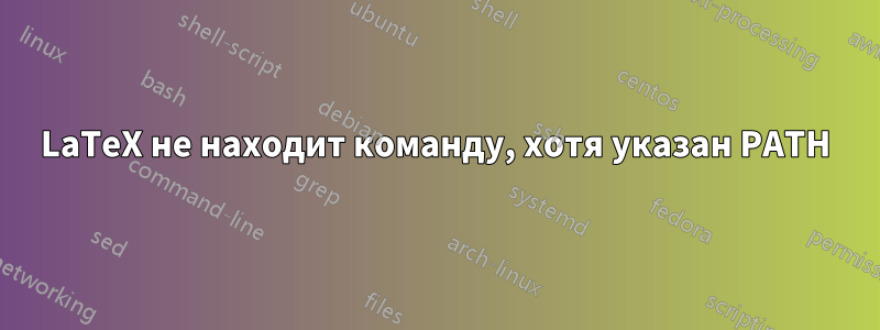 LaTeX не находит команду, хотя указан PATH