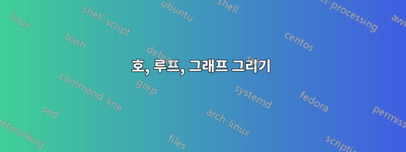 호, 루프, 그래프 그리기