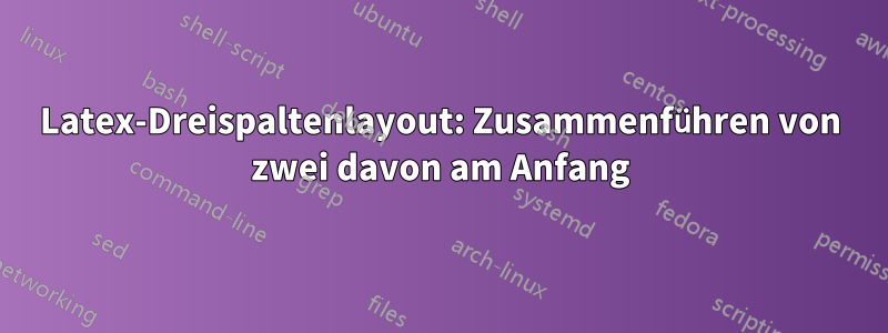 Latex-Dreispaltenlayout: Zusammenführen von zwei davon am Anfang