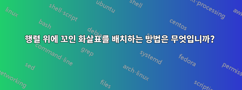 행렬 위에 꼬인 화살표를 배치하는 방법은 무엇입니까?