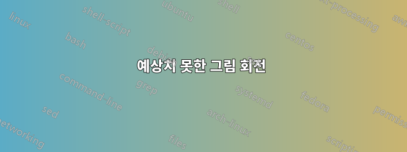 예상치 못한 그림 회전