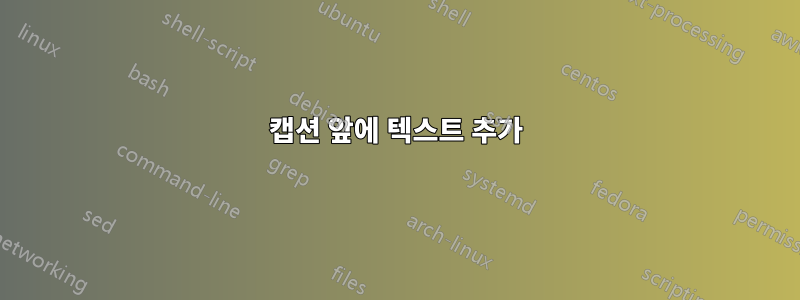 캡션 앞에 텍스트 추가