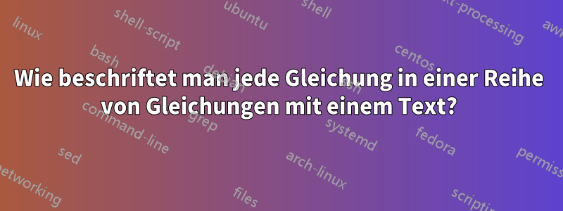 Wie beschriftet man jede Gleichung in einer Reihe von Gleichungen mit einem Text?